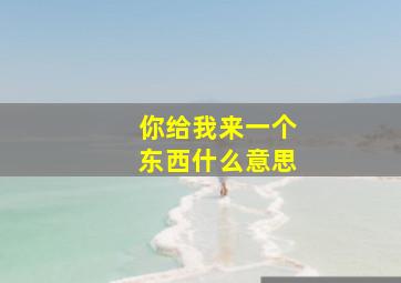 你给我来一个东西什么意思