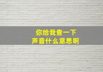 你给我查一下声音什么意思啊