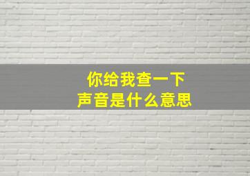 你给我查一下声音是什么意思