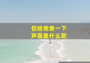 你给我查一下声音是什么歌