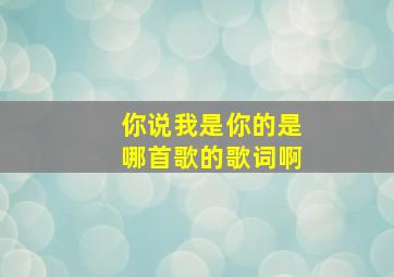 你说我是你的是哪首歌的歌词啊