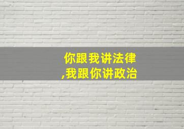 你跟我讲法律,我跟你讲政治