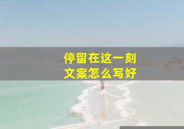 停留在这一刻文案怎么写好