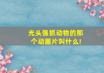 光头强抓动物的那个动画片叫什么!