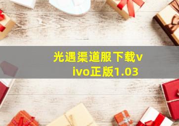 光遇渠道服下载vivo正版1.03