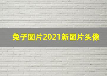 兔子图片2021新图片头像