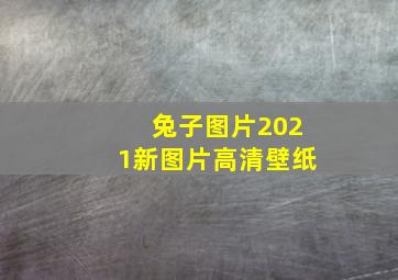 兔子图片2021新图片高清壁纸