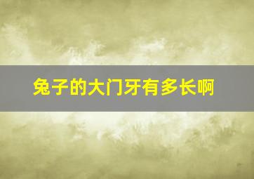 兔子的大门牙有多长啊