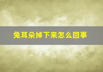 兔耳朵掉下来怎么回事