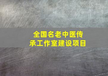 全国名老中医传承工作室建设项目