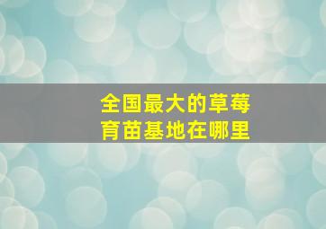 全国最大的草莓育苗基地在哪里