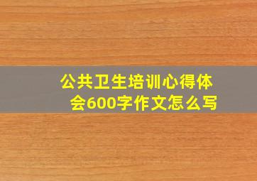 公共卫生培训心得体会600字作文怎么写