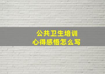 公共卫生培训心得感悟怎么写