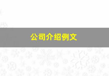 公司介绍例文