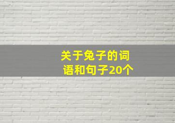 关于兔子的词语和句子20个