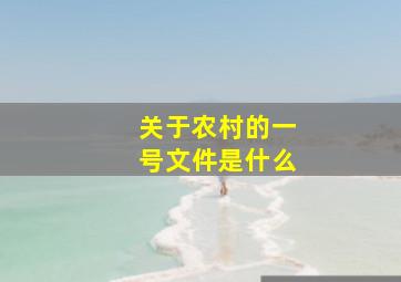 关于农村的一号文件是什么