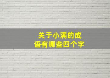 关于小满的成语有哪些四个字