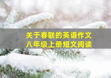 关于春联的英语作文八年级上册短文阅读