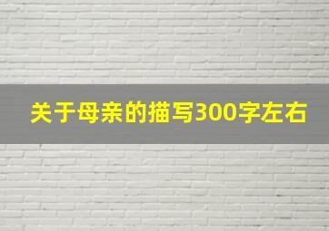 关于母亲的描写300字左右