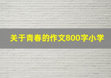 关于青春的作文800字小学