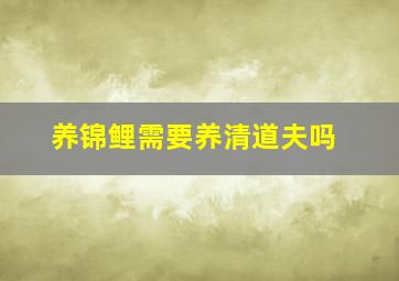 养锦鲤需要养清道夫吗