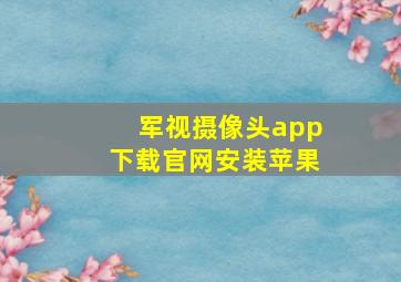 军视摄像头app下载官网安装苹果