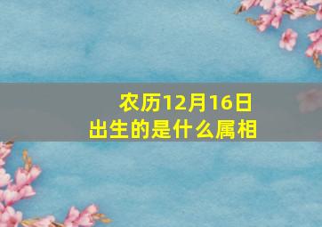 农历12月16日出生的是什么属相