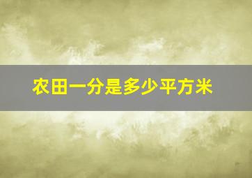 农田一分是多少平方米