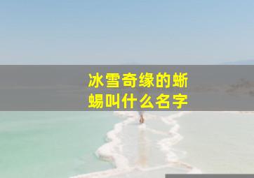 冰雪奇缘的蜥蜴叫什么名字