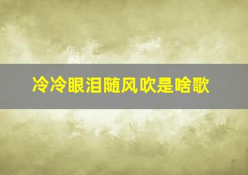 冷冷眼泪随风吹是啥歌