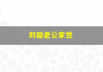 刘璇老公家世