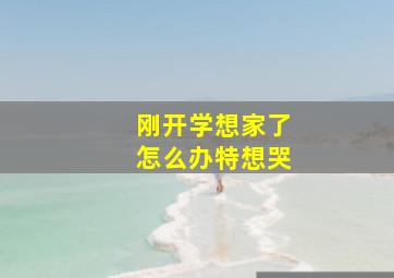 刚开学想家了怎么办特想哭