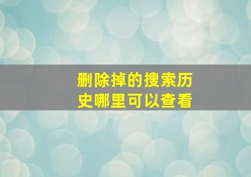 删除掉的搜索历史哪里可以查看