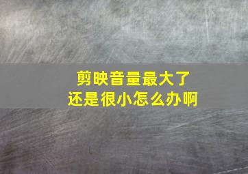 剪映音量最大了还是很小怎么办啊