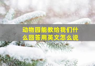 动物园能教给我们什么回答用英文怎么说