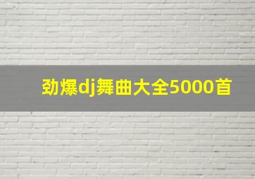 劲爆dj舞曲大全5000首