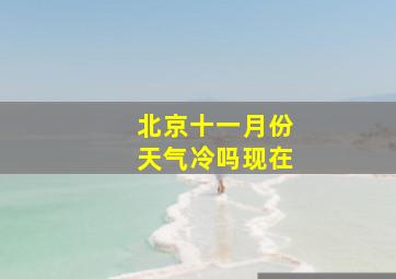 北京十一月份天气冷吗现在