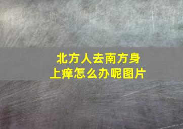 北方人去南方身上痒怎么办呢图片