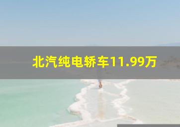 北汽纯电轿车11.99万