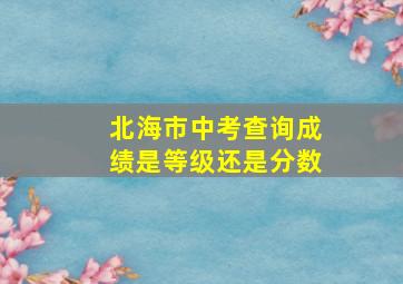 北海市中考查询成绩是等级还是分数