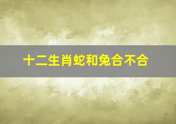 十二生肖蛇和兔合不合