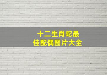 十二生肖蛇最佳配偶图片大全