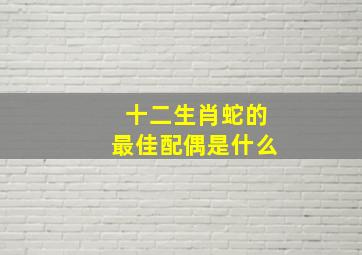 十二生肖蛇的最佳配偶是什么