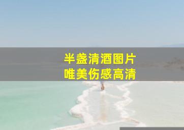 半盏清酒图片唯美伤感高清