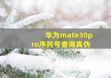 华为mate30pro序列号查询真伪