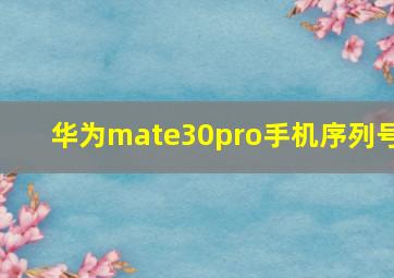 华为mate30pro手机序列号