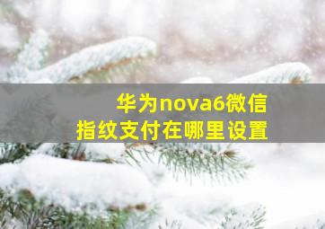 华为nova6微信指纹支付在哪里设置