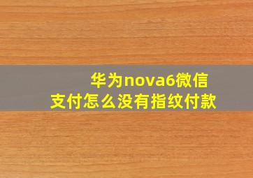 华为nova6微信支付怎么没有指纹付款