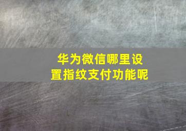 华为微信哪里设置指纹支付功能呢