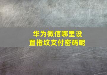 华为微信哪里设置指纹支付密码呢